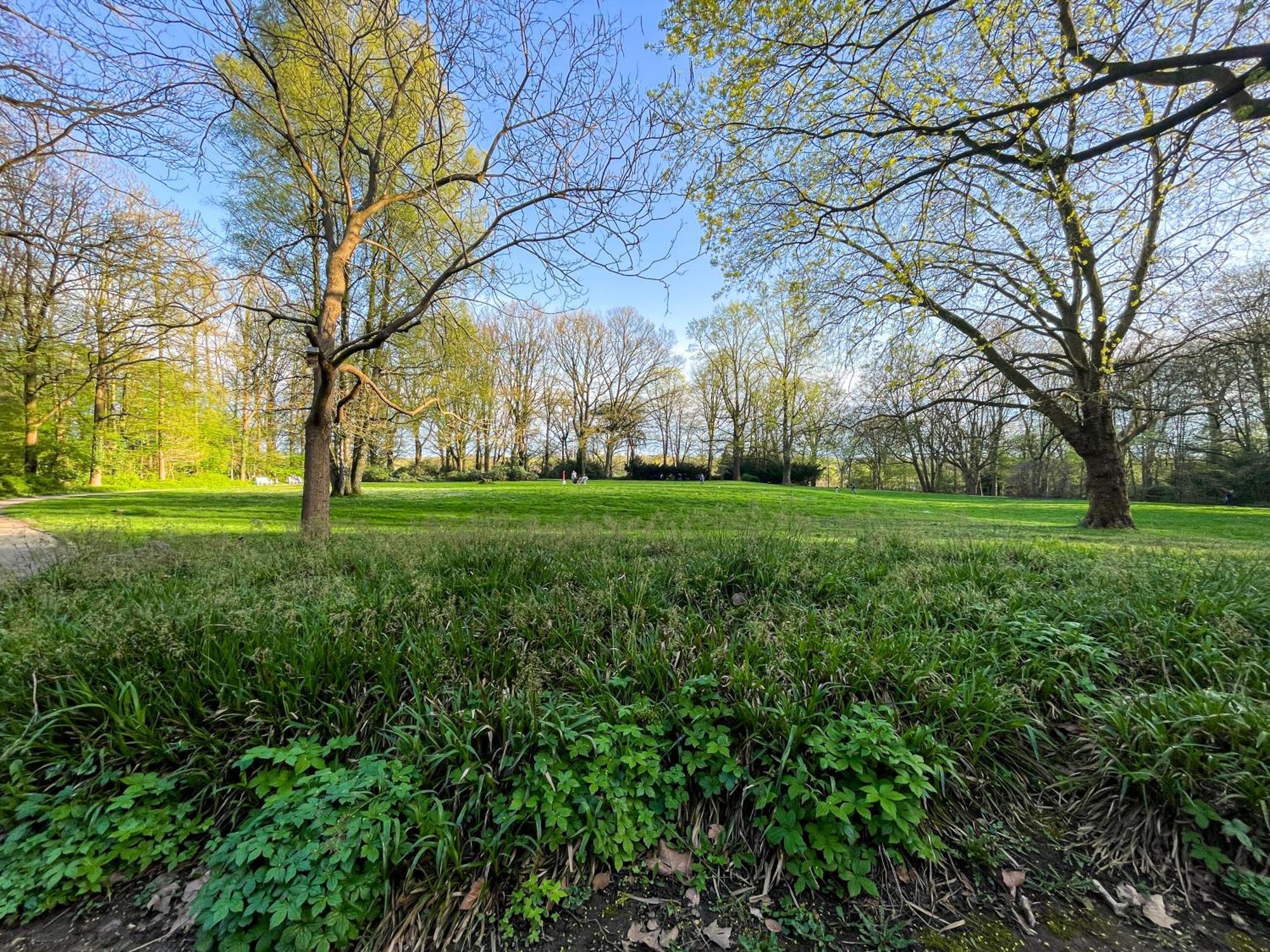Landhaus Beim Knoops Park Brema Exterior foto